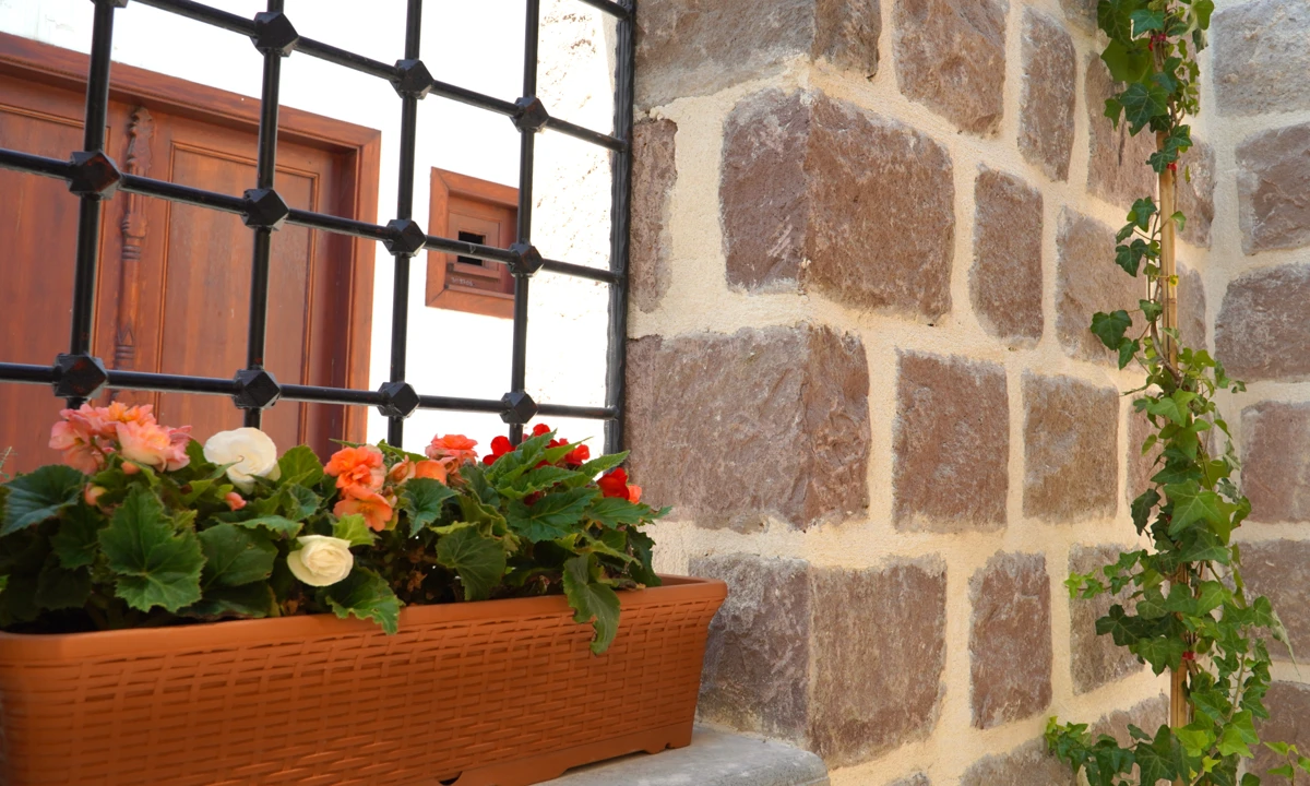 Vitalen Cafe-Serin Bahçe-1